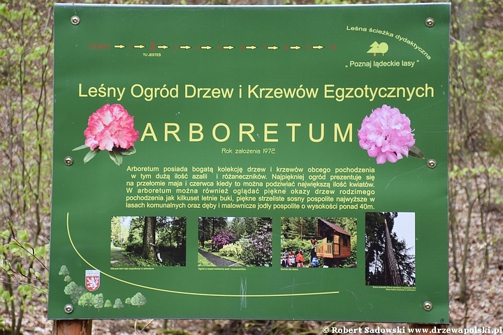 Arboretum w Lądku Zdroju