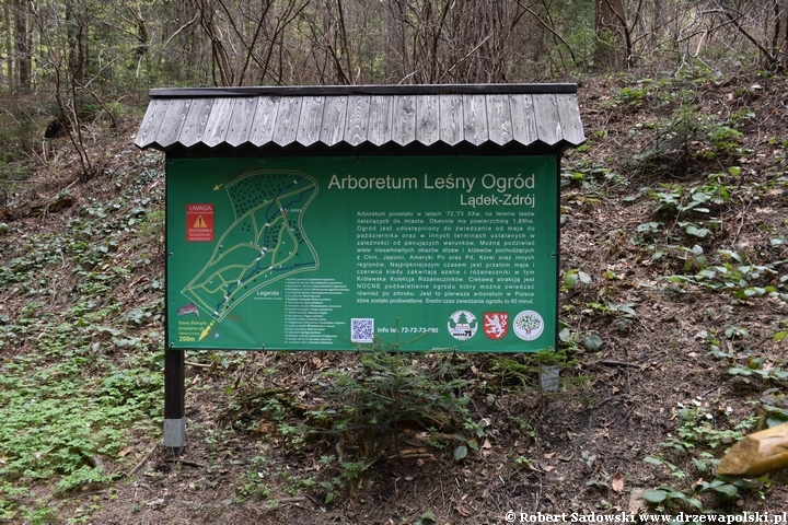 Arboretum w Lądku Zdroju