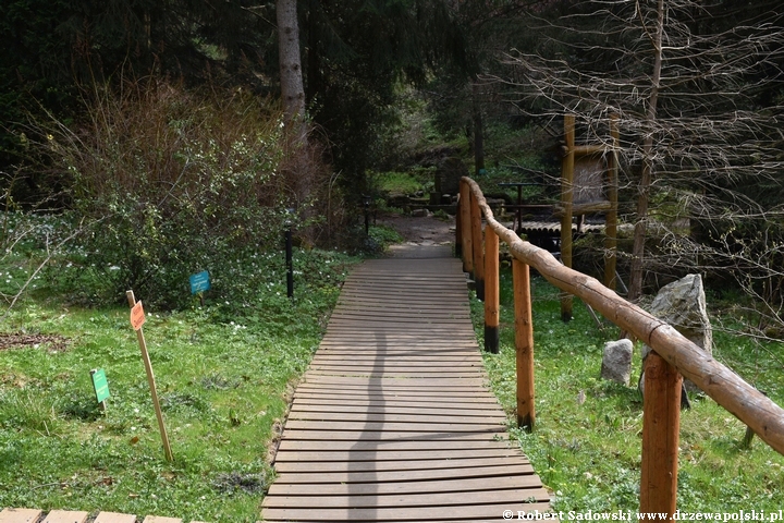 Arboretum w Lądku Zdroju