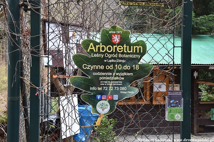 Arboretum w Lądku Zdroju