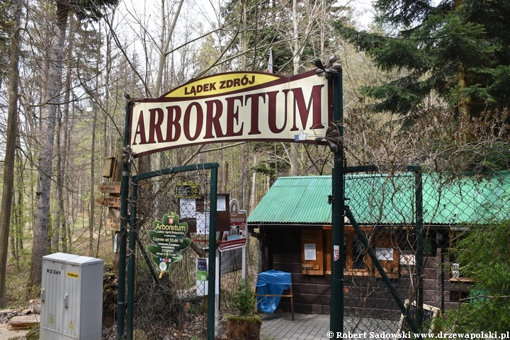 Arboretum w Lądku Zdroju