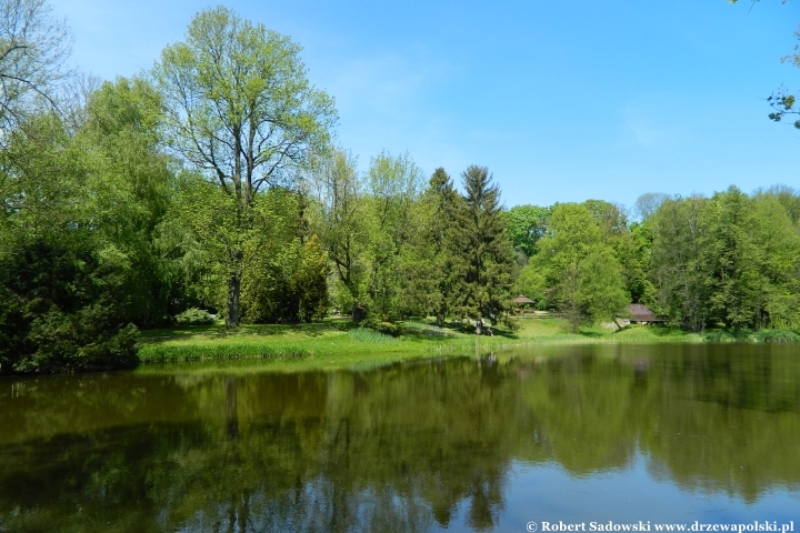 Ogród Botaniczny UMCS w Lublinie Ogród Botaniczny UMCS w Lublinie