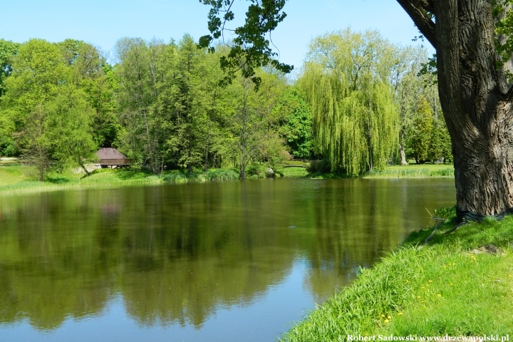 Ogród Botaniczny UMCS w Lublinie Ogród Botaniczny UMCS w Lublinie