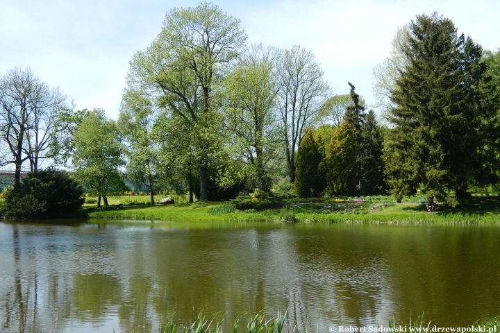 Ogród Botaniczny UMCS w Lublinie Ogród Botaniczny UMCS w Lublinie
