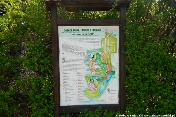 Ogród Botaniczny UMCS w Lublinie Ogród Botaniczny UMCS w Lublinie