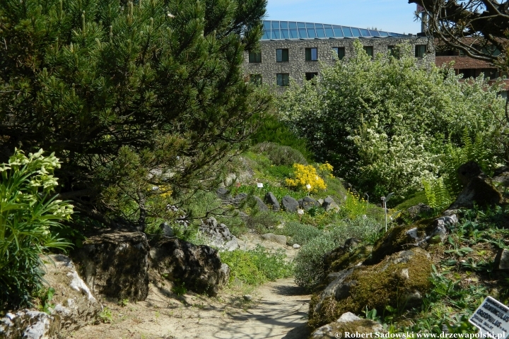 Ogród Botaniczny UMCS w Lublinie Ogród Botaniczny UMCS w Lublinie