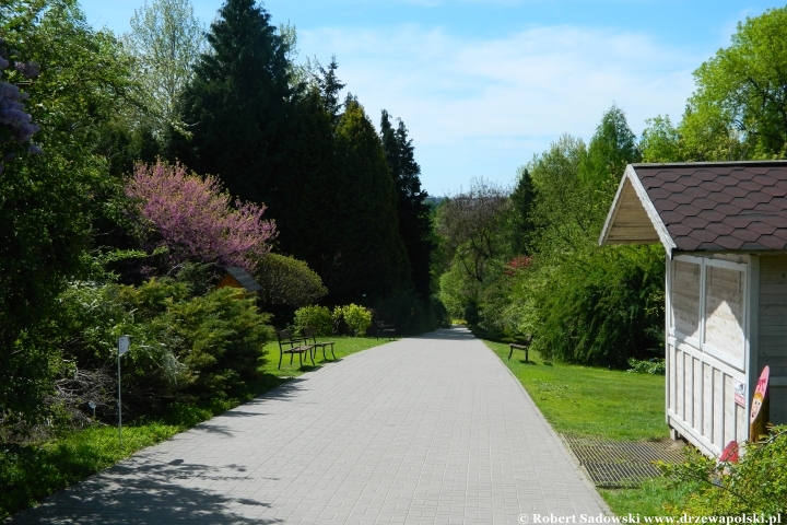 Ogród Botaniczny UMCS w Lublinie Ogród Botaniczny UMCS w Lublinie