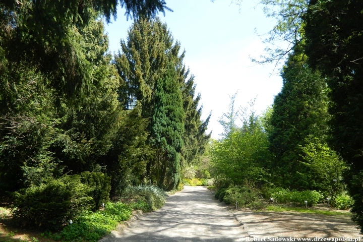 Ogród Botaniczny UMCS w Lublinie Ogród Botaniczny UMCS w Lublinie
