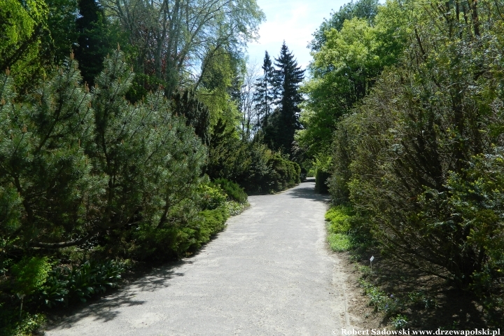 Ogród Botaniczny UMCS w Lublinie Ogród Botaniczny UMCS w Lublinie