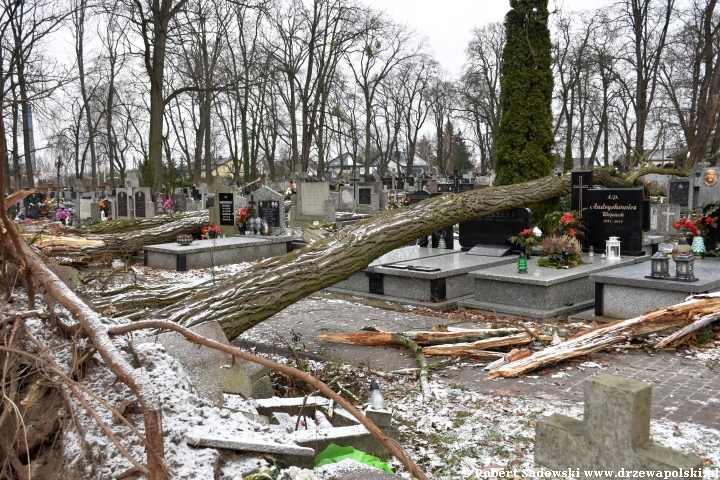 Orkan Pia dewastuje żyrardowski cmentarz