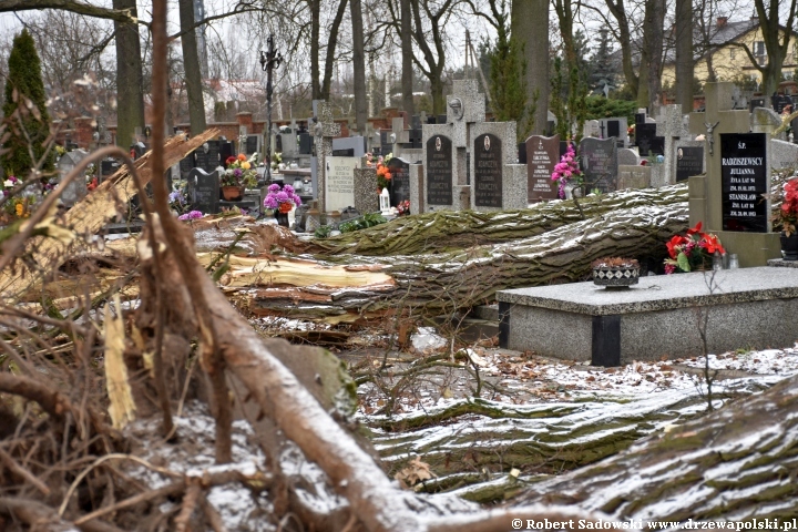 Orkan Pia dewastuje żyrardowski cmentarz