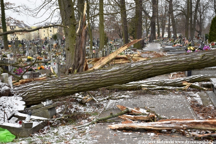 Orkan Pia dewastuje żyrardowski cmentarz