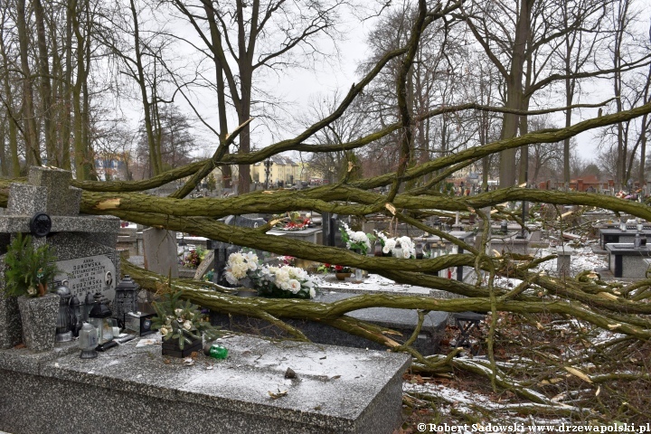 Orkan Pia dewastuje żyrardowski cmentarz