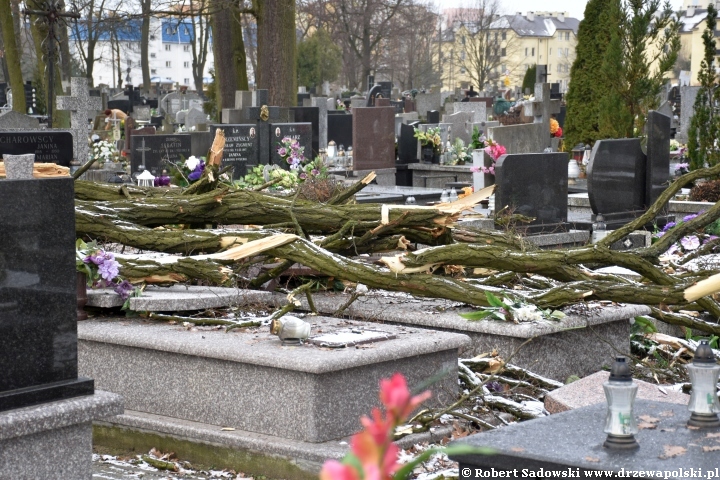 Orkan Pia dewastuje żyrardowski cmentarz