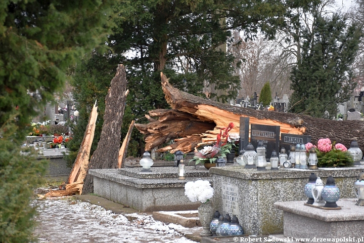 Orkan Pia dewastuje żyrardowski cmentarz