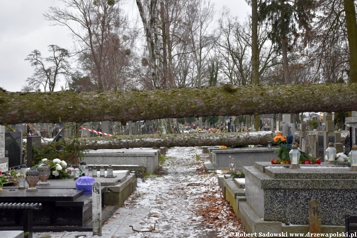 Orkan Pia dewastuje żyrardowski cmentarz