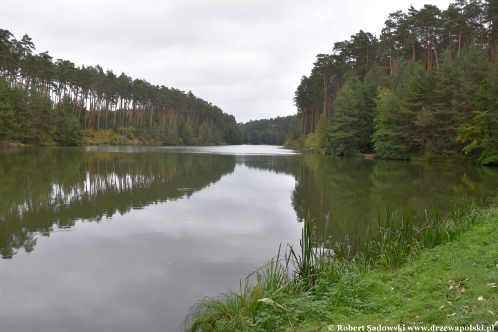 Park Narodowy