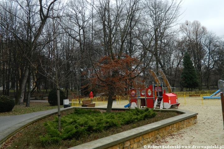 Park Róż w Chorzowie