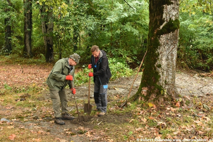 Rewitalizacja dendrarium Ludwika Młokosiewicza w Lagodechi w Gruzji