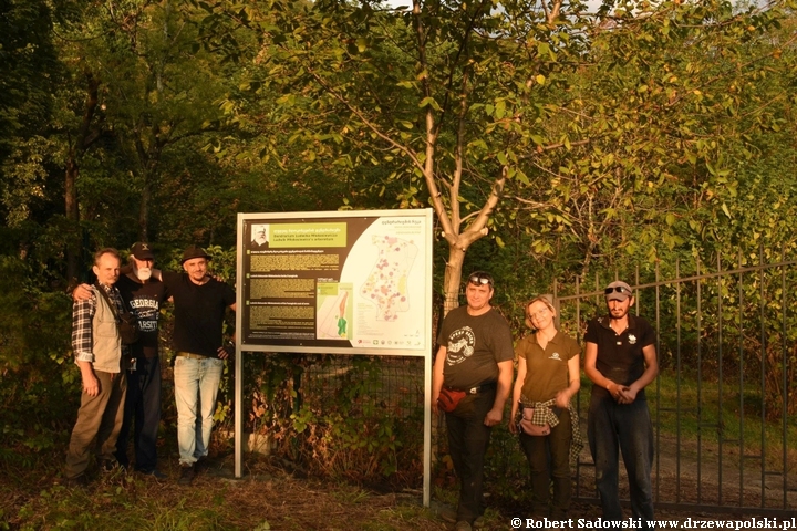 Rewitalizacja dendrarium Ludwika Młokosiewicza w Lagodechi w Gruzji