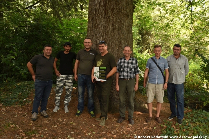 Rewitalizacja dendrarium Ludwika Młokosiewicza w Lagodechi w Gruzji