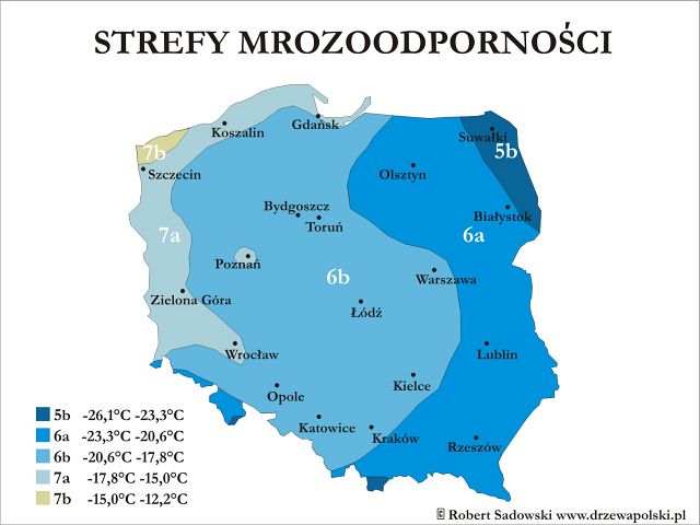Strefy mrozoodporności w Polsce