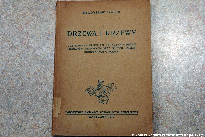 Władysław Szafer - Drzewa i krzewy