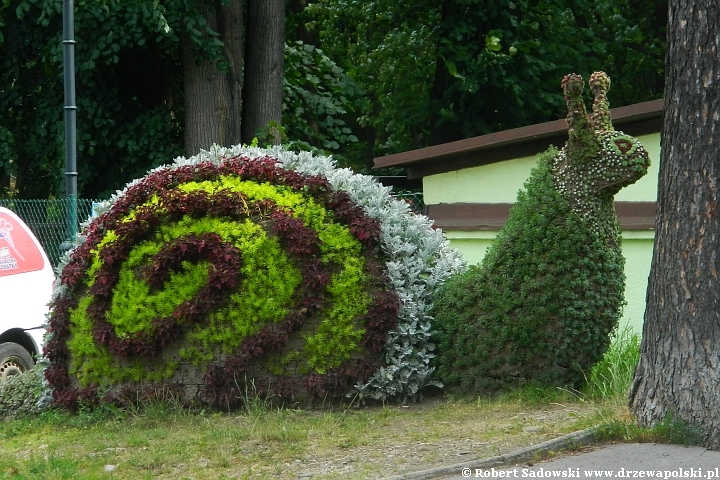 Topiary - rzeźby z drzew i krzewów