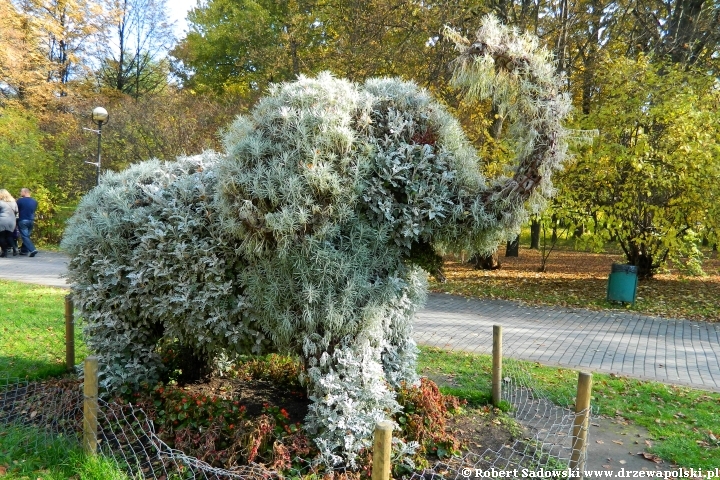 Topiary - rzeźby z drzew i krzewów