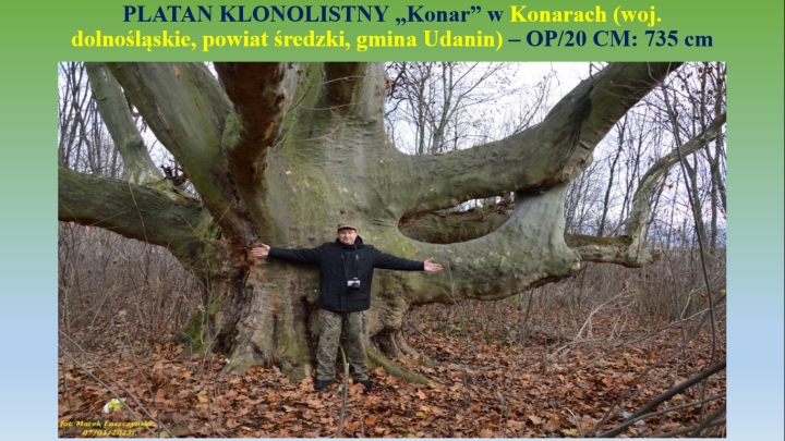 Tree hunter - Paweł Lenart