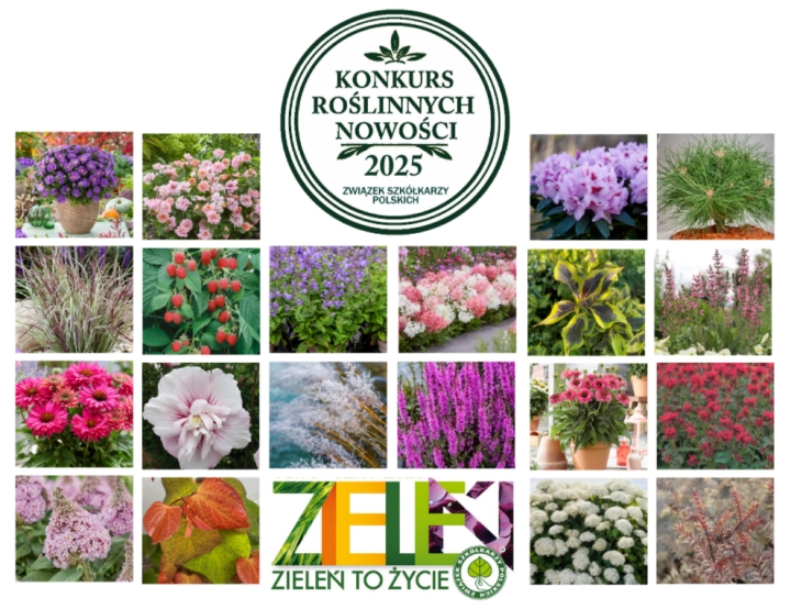 Konkurs roślinnych nowości 2025 Konkurs roślinnych nowości 2025