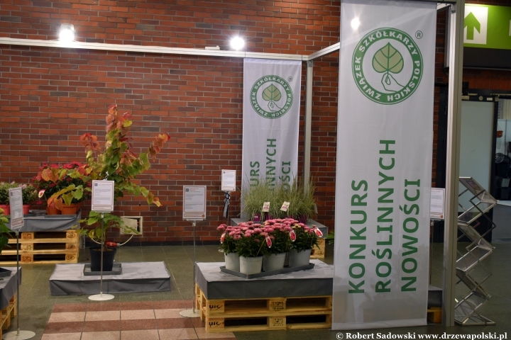 Konkurs roślinnych nowości 2025 Konkurs roślinnych nowości 2025