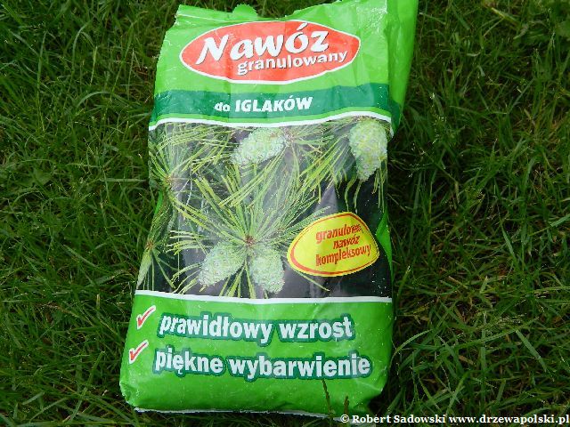 nawóz do iglaków