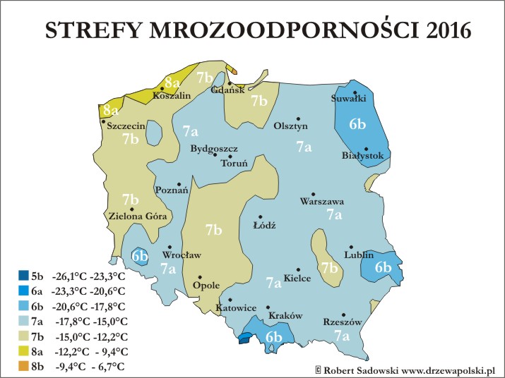 Nowe strefy mrozoodporności w Polsce