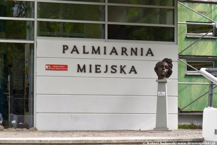 Palmiarnia Gliwice