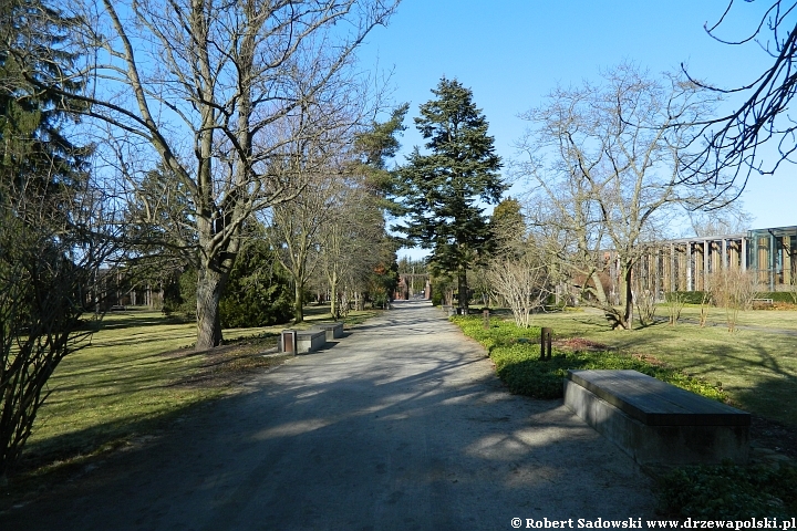 park w Żelazowej Woli