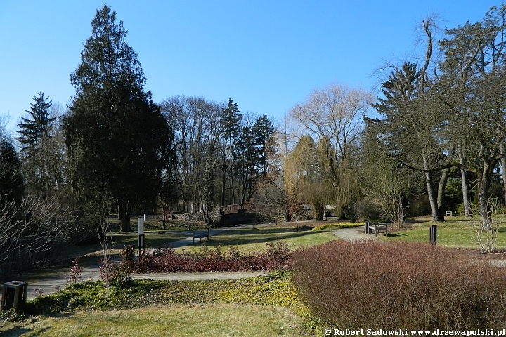 park w Żelazowej Woli