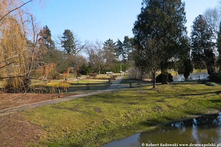 park w Żelazowej Woli