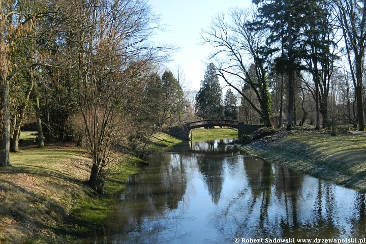 park w Żelazowej Woli