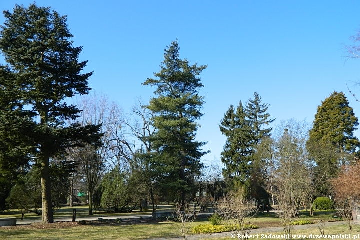 park w Żelazowej Woli