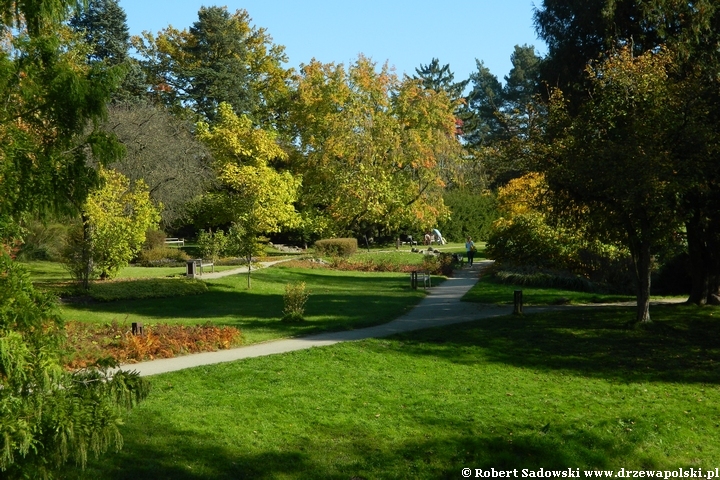 Widok na park z mostku