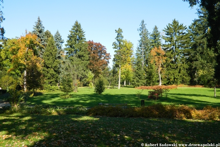 Widok na park