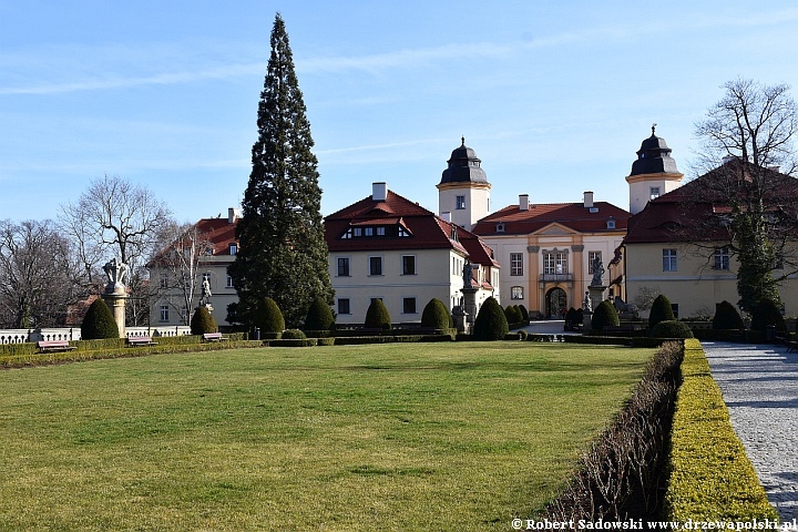 Mamutowiec olbrzymi