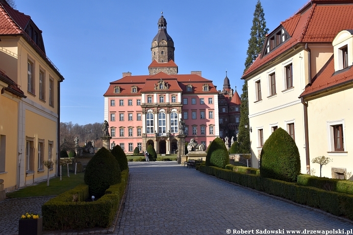 Mamutowiec olbrzymi