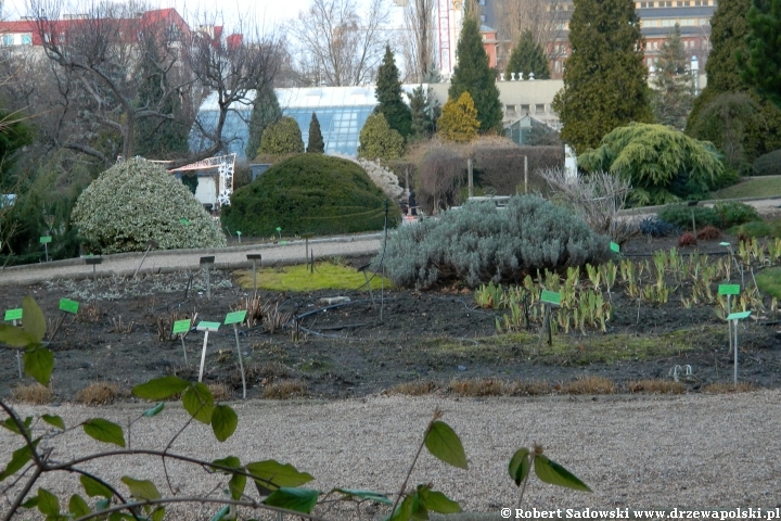 Ogród Botaniczny we Wrocławiu