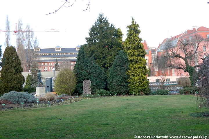 Ogród Botaniczny we Wrocławiu