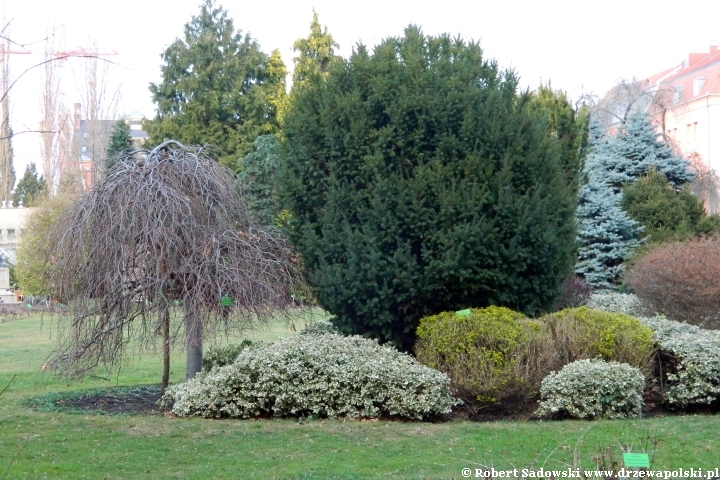 Ogród Botaniczny we Wrocławiu