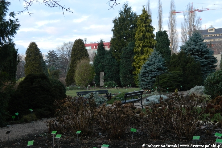 Ogród Botaniczny we Wrocławiu