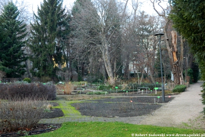 Ogród Botaniczny we Wrocławiu