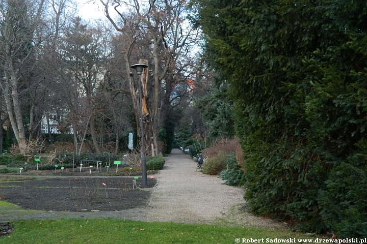 Ogród Botaniczny we Wrocławiu